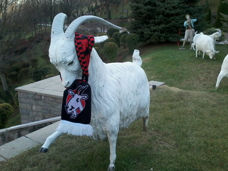 sim:  Dikmen Vadisi'nin İnatçı Keçileri 22.11.2016 (1).jpg
Grntleme: 26
Byklk:  96.9 KB (Kilobyte)