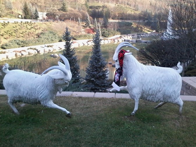 sim:  Dikmen Vadisi'nin İnatçı Keçileri 22.11.2016 (2).jpg
Grntleme: 23
Byklk:  99.9 KB (Kilobyte)