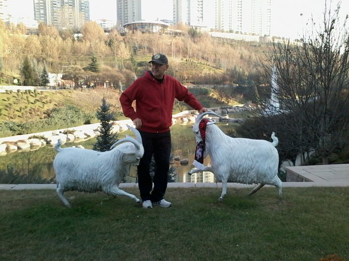 sim:  Dikmen Vadisi'nin İnatçı Keçileri 22.11.2016 (4).jpg
Grntleme: 25
Byklk:  98.9 KB (Kilobyte)