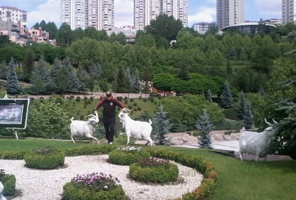 sim:  Dikmen Vadisinin inatçı keçileri - 1 - Kopya.jpg
Grntleme: 46
Byklk:  76.4 KB (Kilobyte)