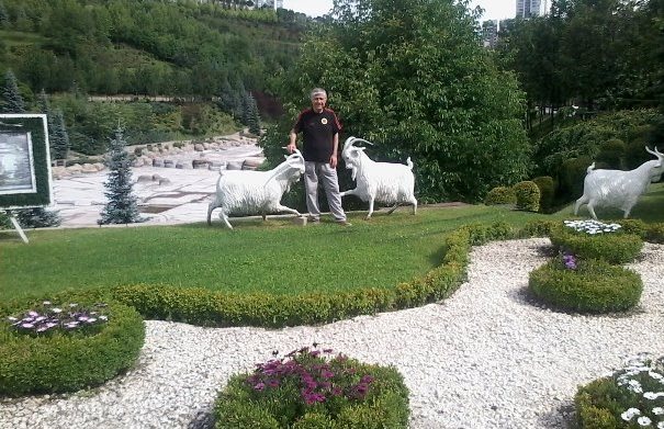 sim:  Dikmen Vadisinin inatçı keçileri - 2 - Kopya.jpg
Grntleme: 39
Byklk:  96.8 KB (Kilobyte)